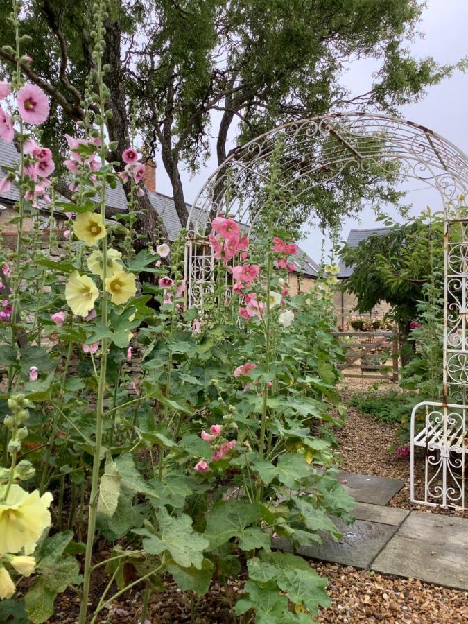 Hollyhock Cottage, Clematis Cottages, 斯坦福德 外观 照片