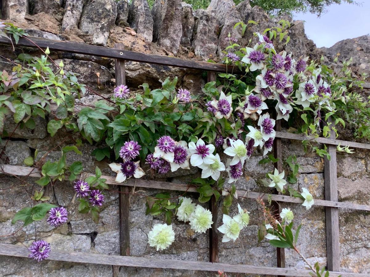 Hollyhock Cottage, Clematis Cottages, 斯坦福德 外观 照片